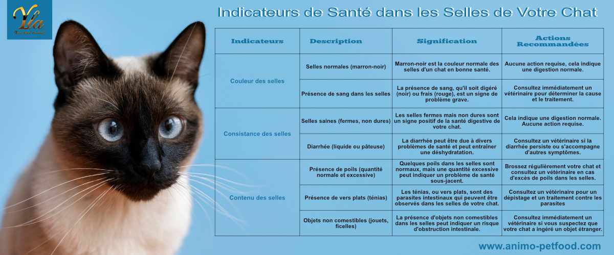 indicateurs-de-sante-dans-les-selles-de-votre-cha